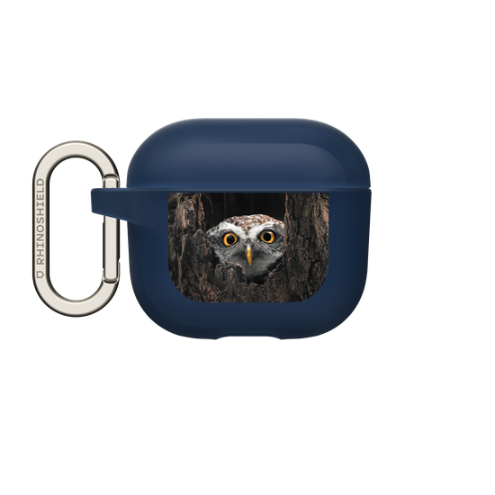 Owl in Tree