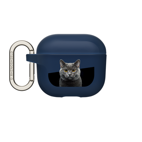 Grey Cat