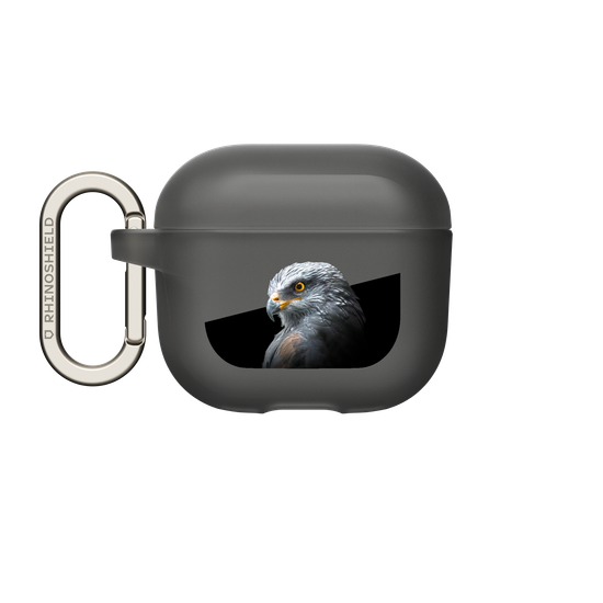 Black Kite