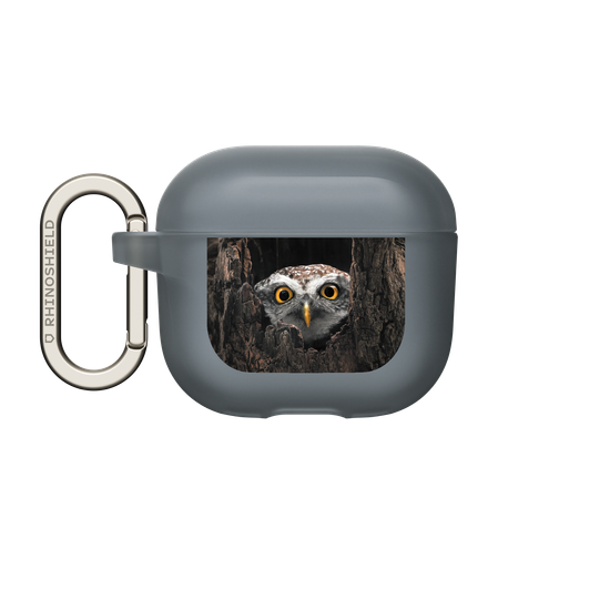 Owl in Tree