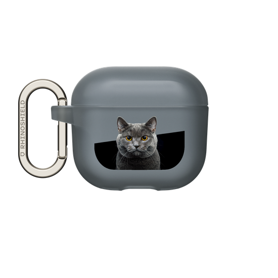 Grey Cat