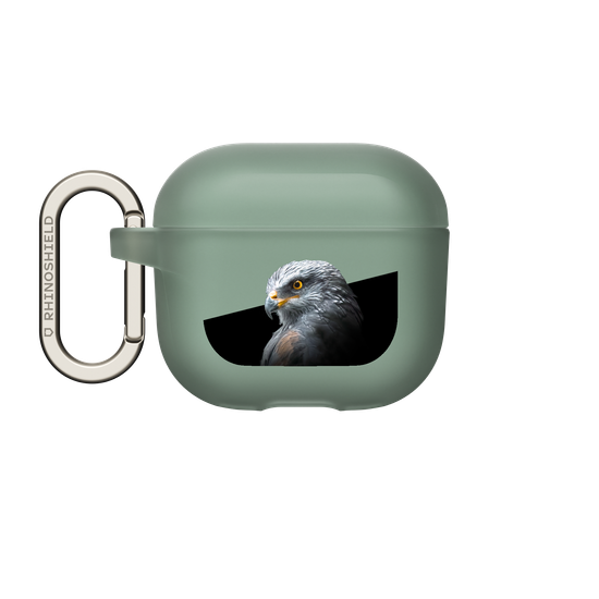 Black Kite