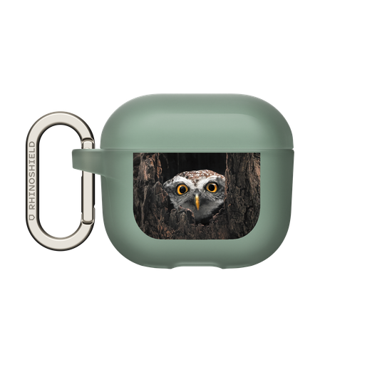 Owl in Tree