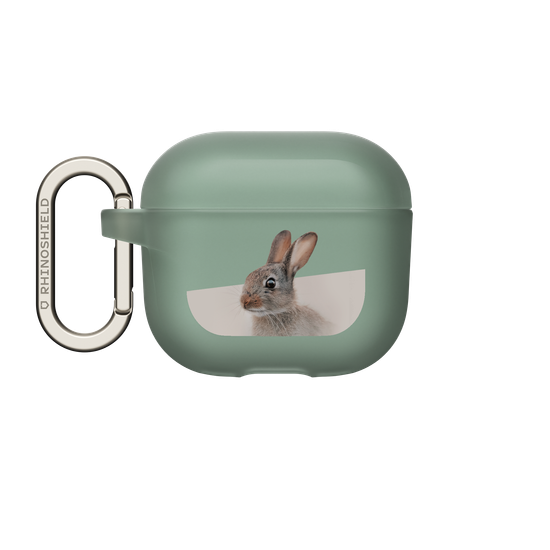 European Rabbit