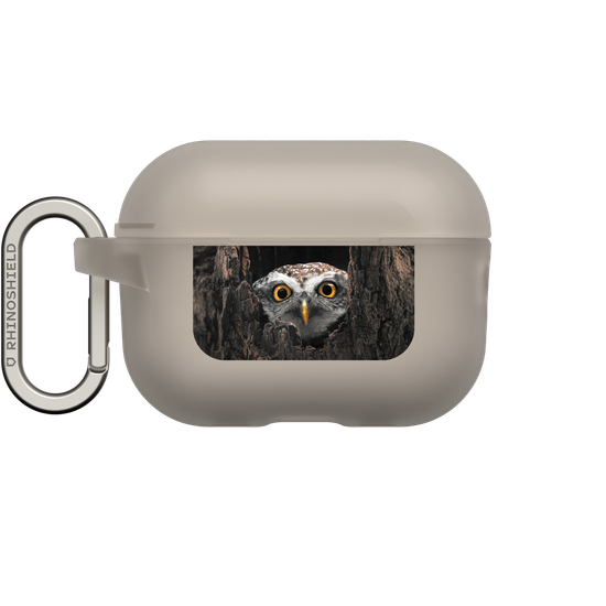 Owl in Tree