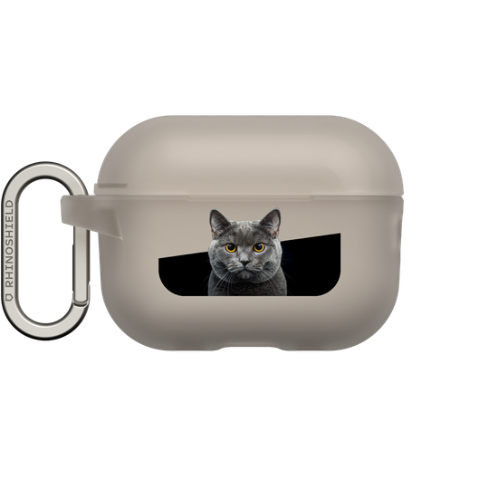 Graue Katze