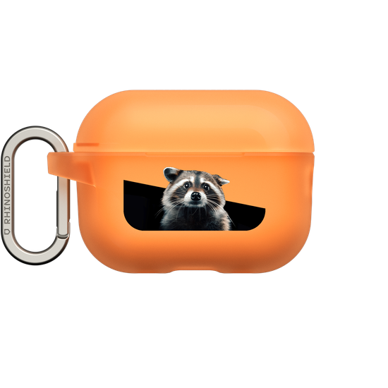 Raccoon