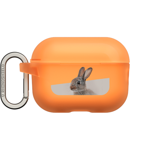 European Rabbit