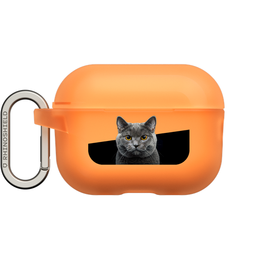 Grey Cat