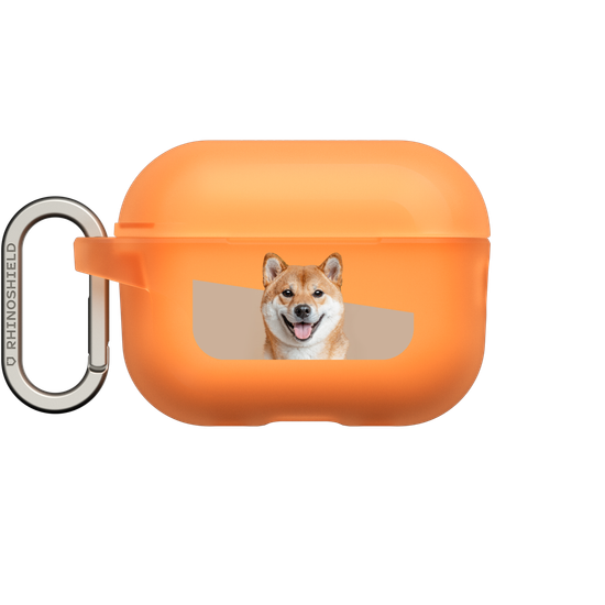 Shiba Inu