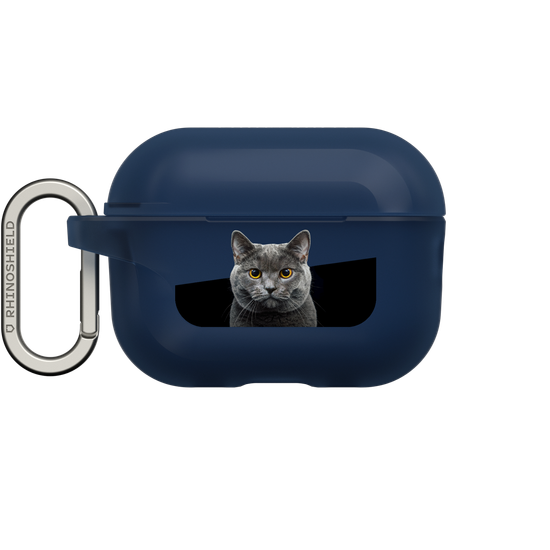Grey Cat