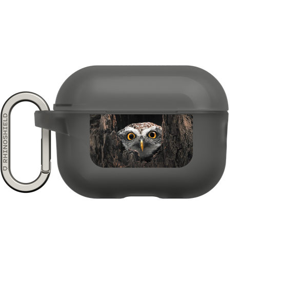 Owl in Tree