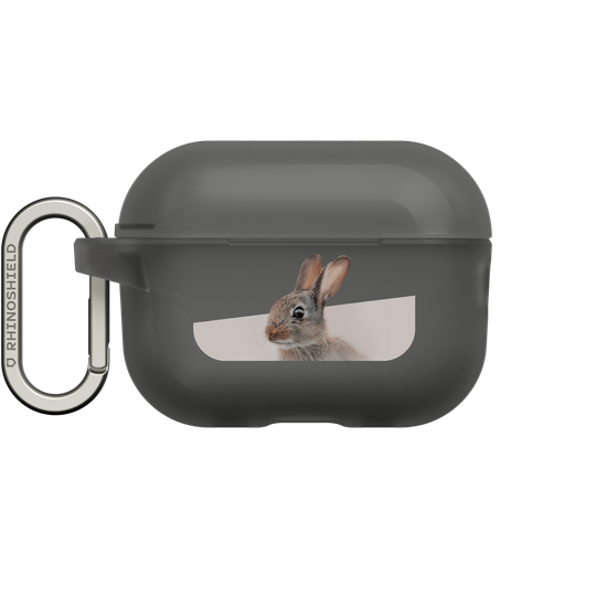 European Rabbit