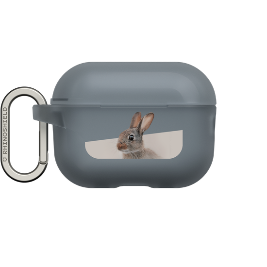 European Rabbit