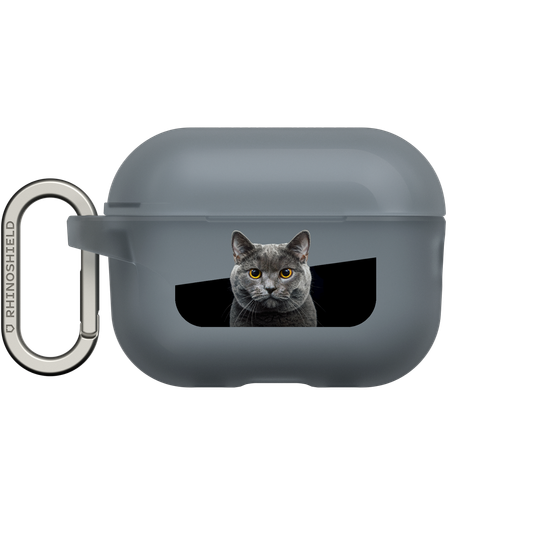 Grey Cat