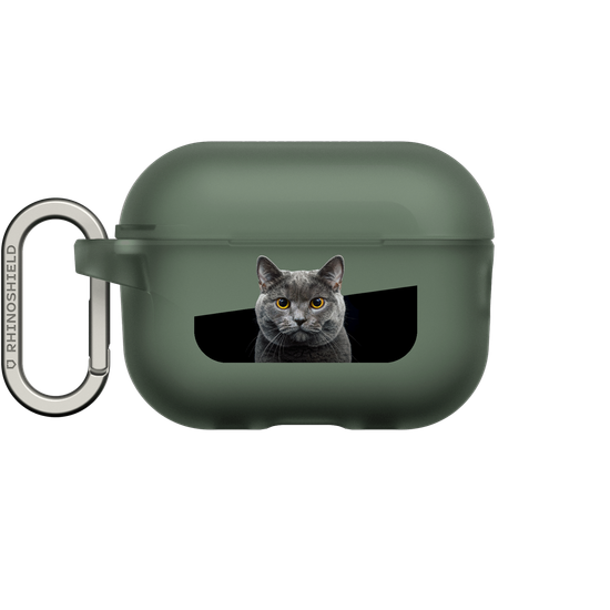グレーの猫