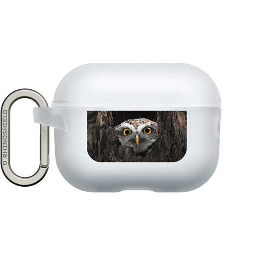 Owl in Tree