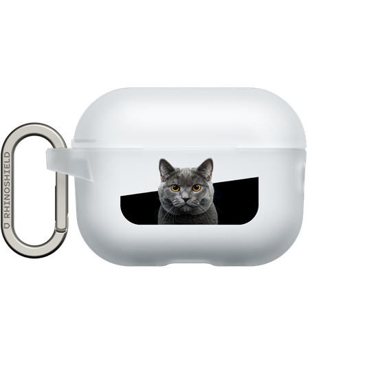 Grey Cat