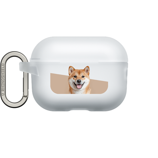 柴犬