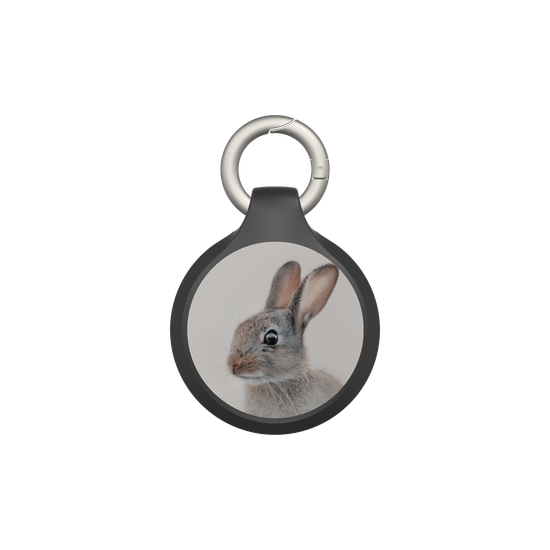 European Rabbit