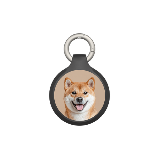 柴犬