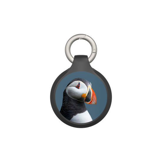 Puffin