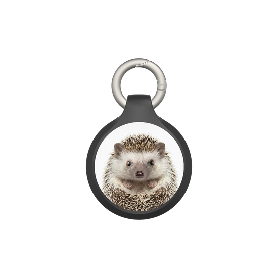 Hedgehog