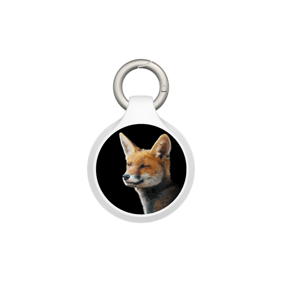 Renard au soleil