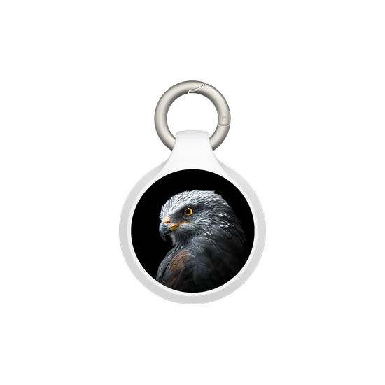 Black Kite