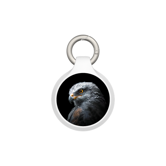 Black Kite