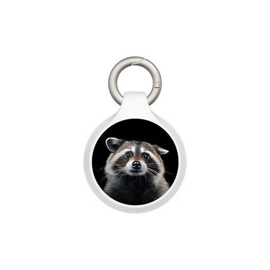 Raccoon