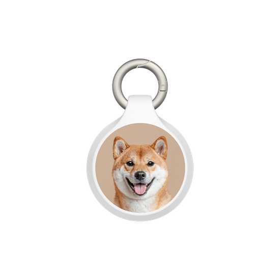 Shiba Inu