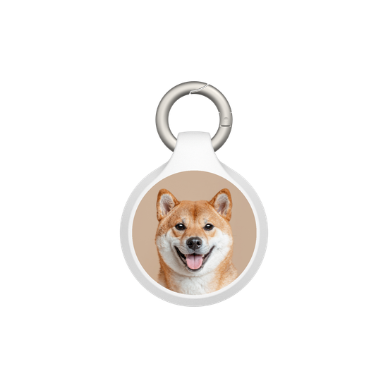 Shiba Inu