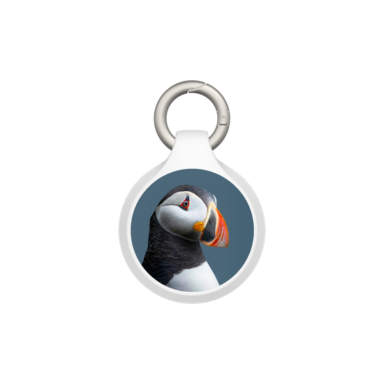 Puffin