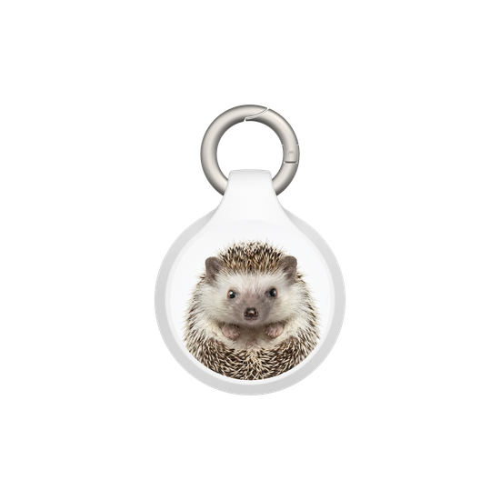 Hedgehog