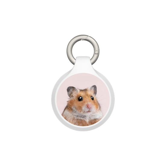 Hamster