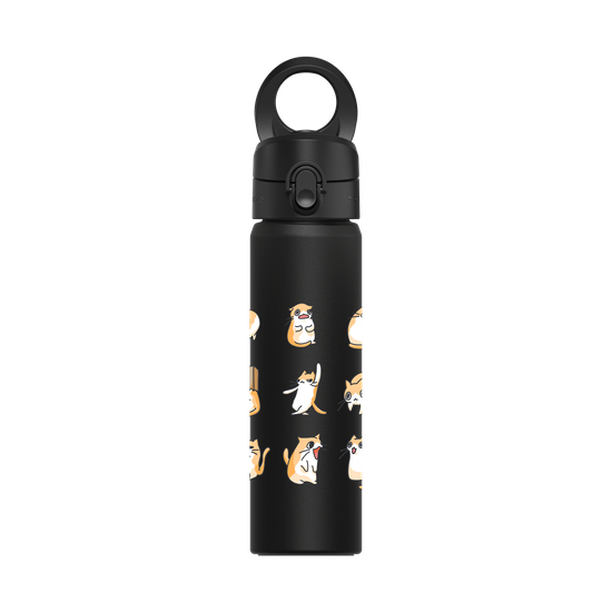 Cats' Illustrations