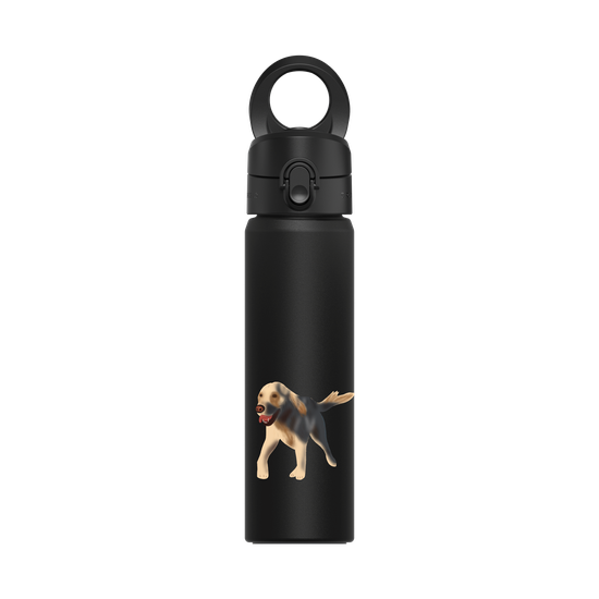 Dog - Golden Retriever