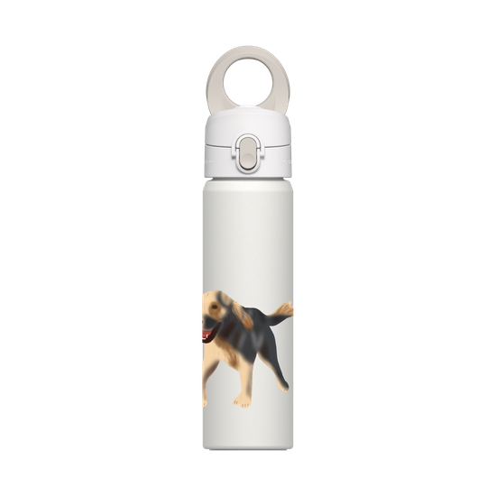 Dog - Golden Retriever