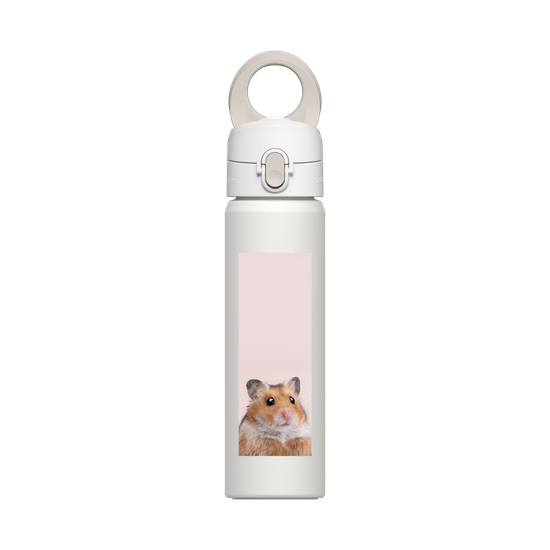 Hamster