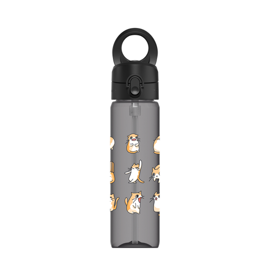 Cats' Illustrations
