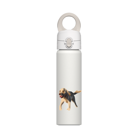 Dog - Golden Retriever