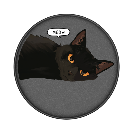 Black Cat Meow