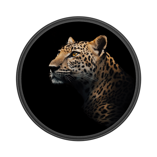 インドシナヒョウ