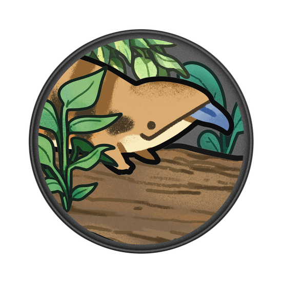 Skink and Plants