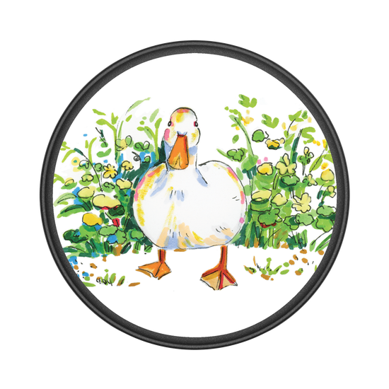 Hold That Quack – Silly Duck