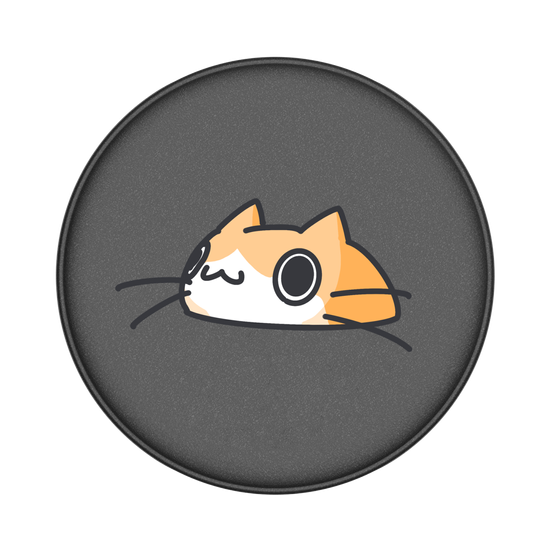 Weird cat is watching