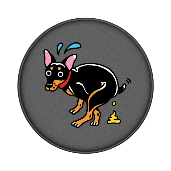 Miniature Pinscher poop