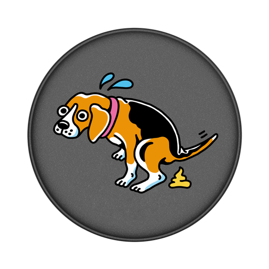 Beagle poop