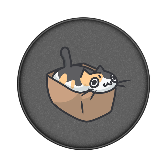 A box of cat